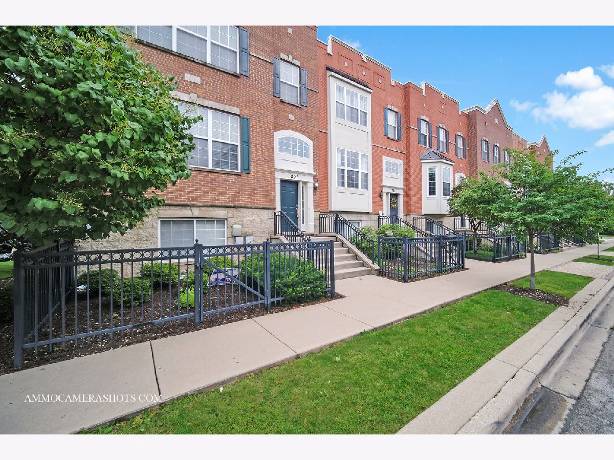 Townhomes & Condos For Rent Lehigh Station Aurora Illinois, 801 Station