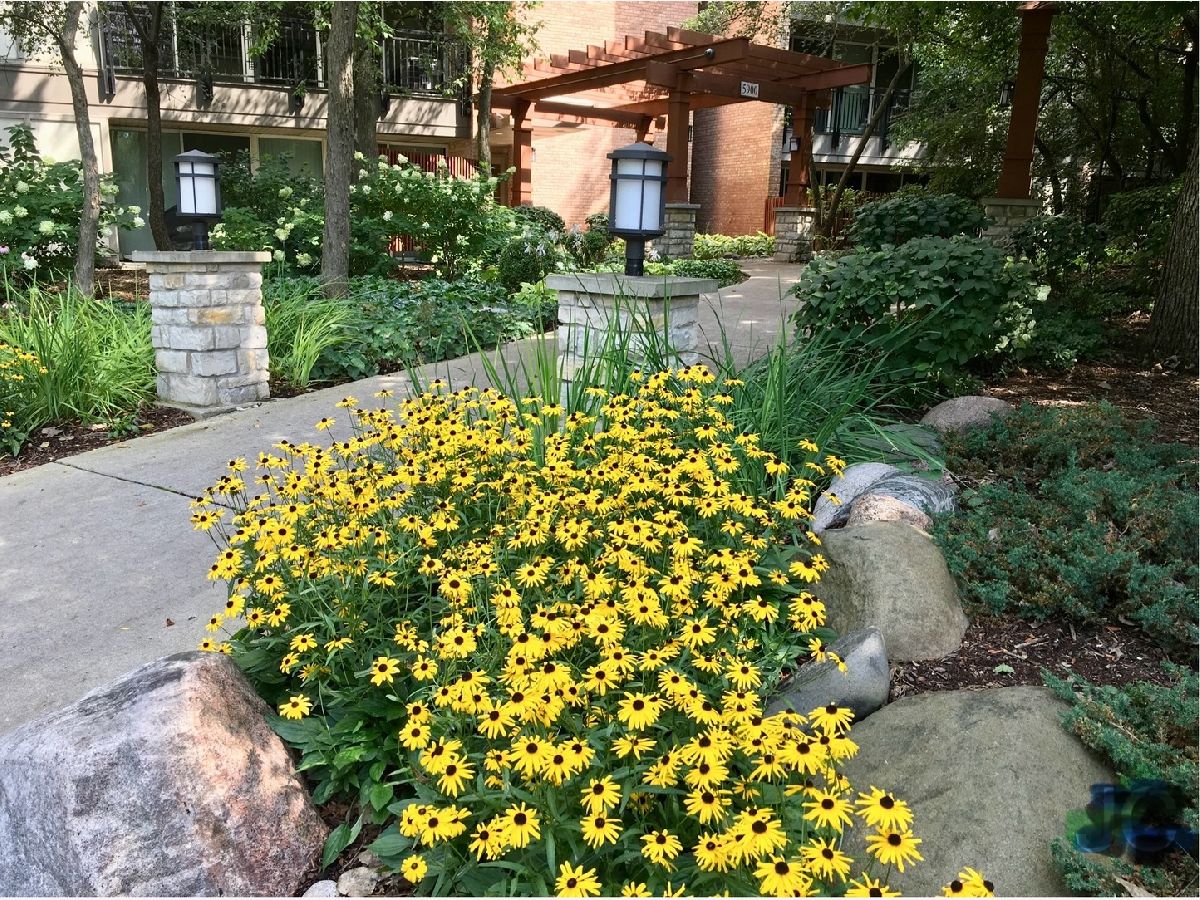  Rented Lisle Illinois, 5900 Oakwood