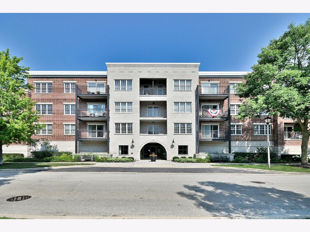 Condominiums Sold The Park Elm Elmhurst Illinois, 111 Larch