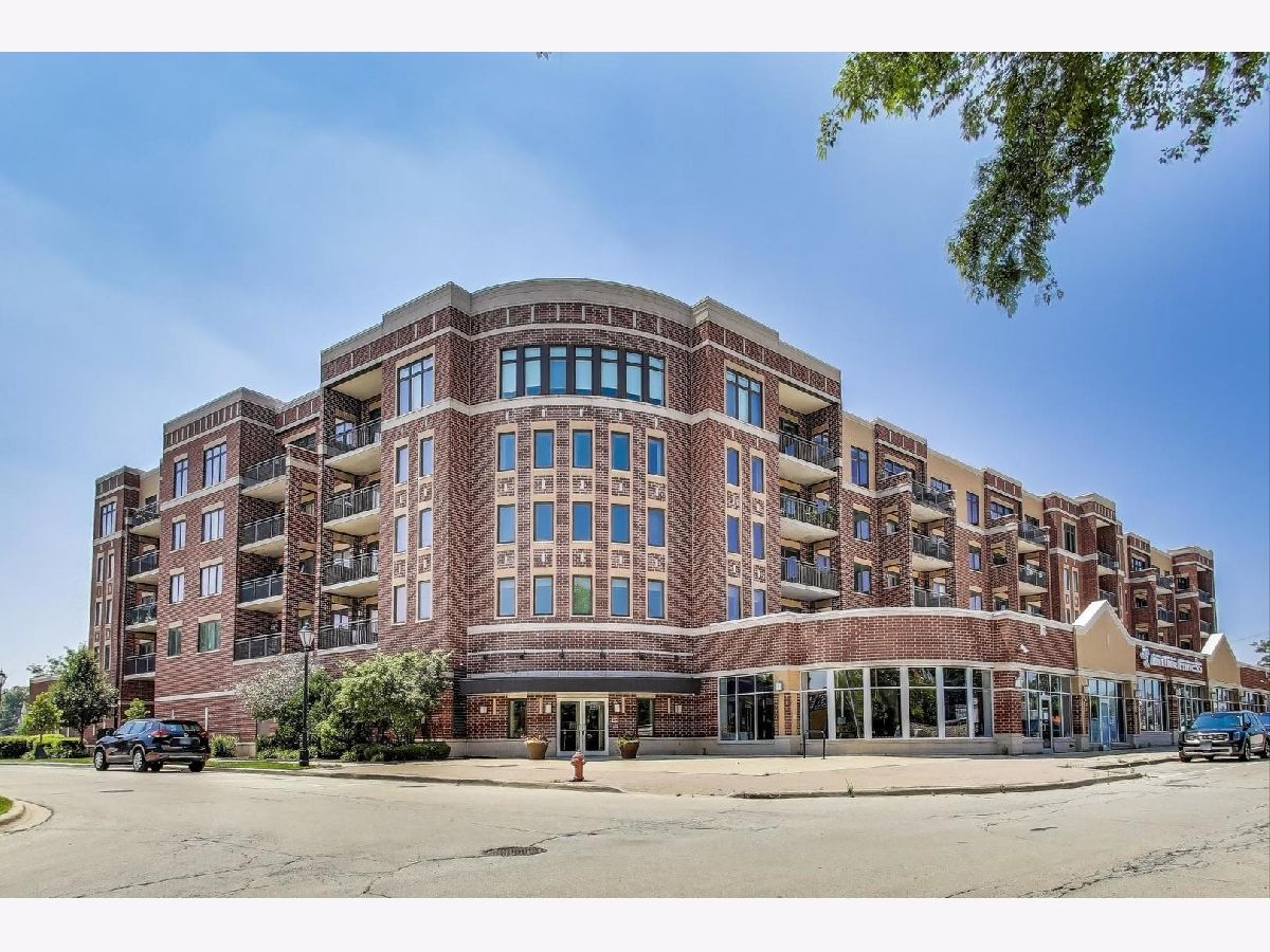  For Rent Roselle Illinois, 225 Main