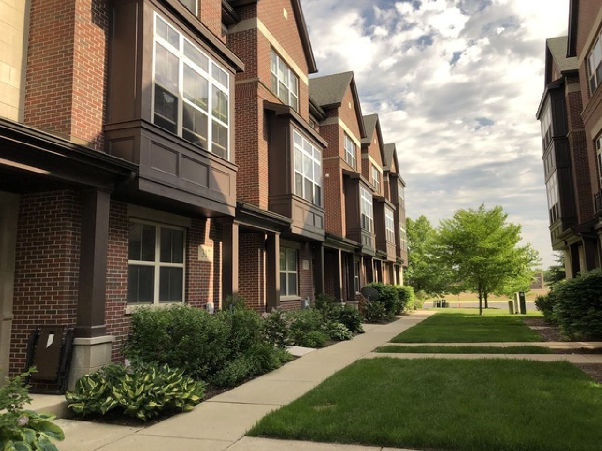  Rented Vernon Hills Illinois, 317 Alpine Springs