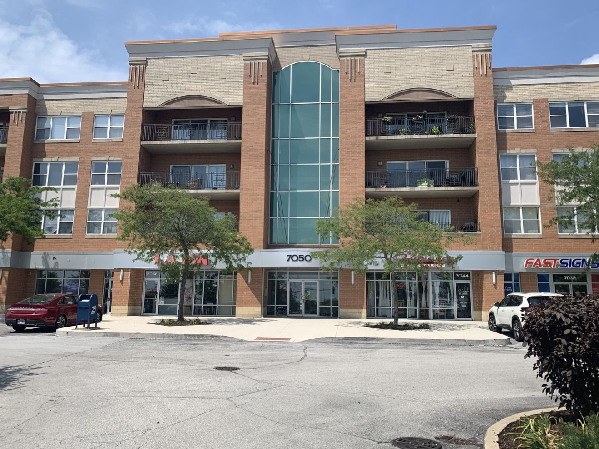 Condominiums For Sale Tinley Pointe Centre Tinley Park Illinois, 7050 183rd Street