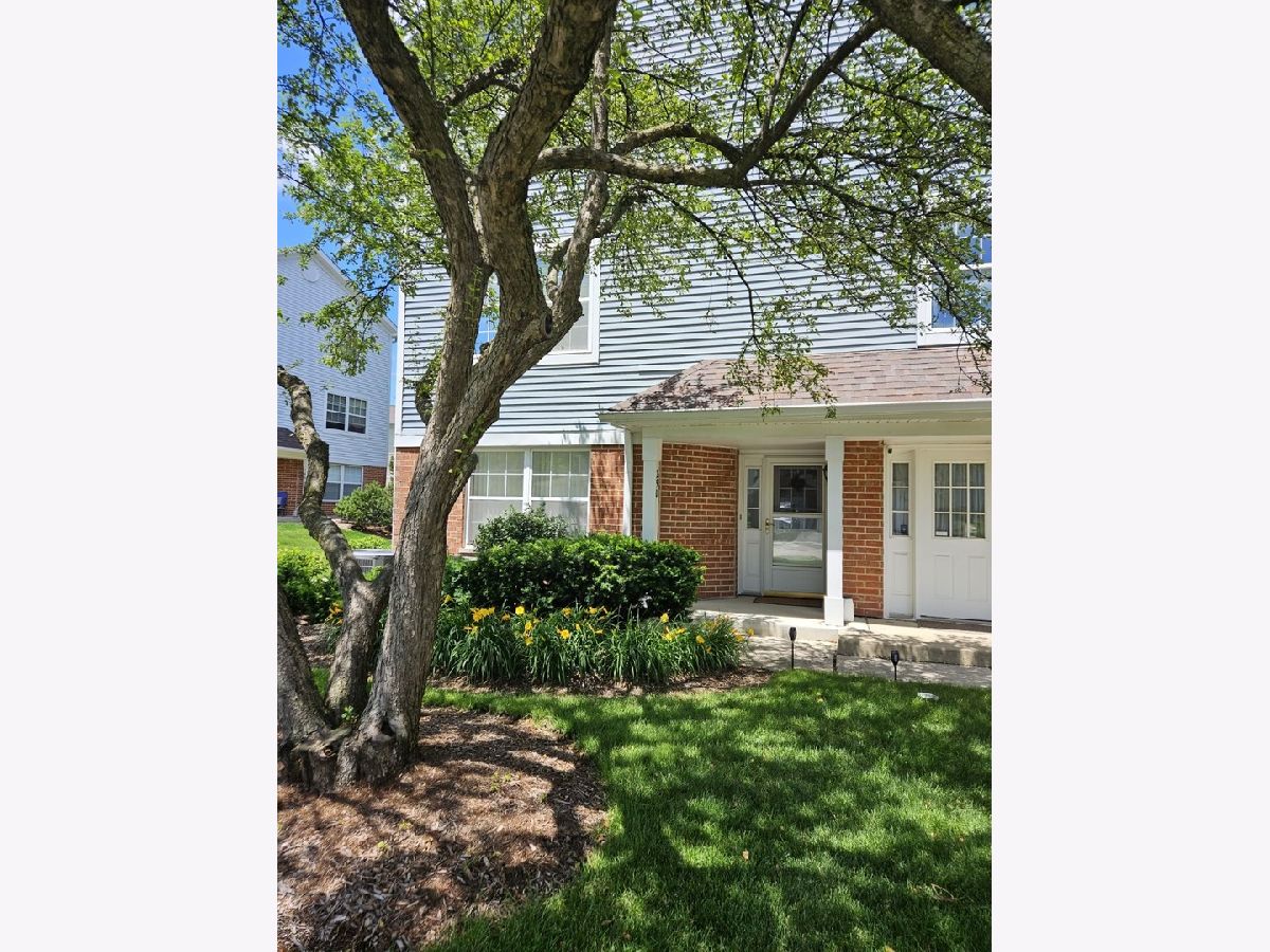 Rented Roselle Illinois, 250 Regal