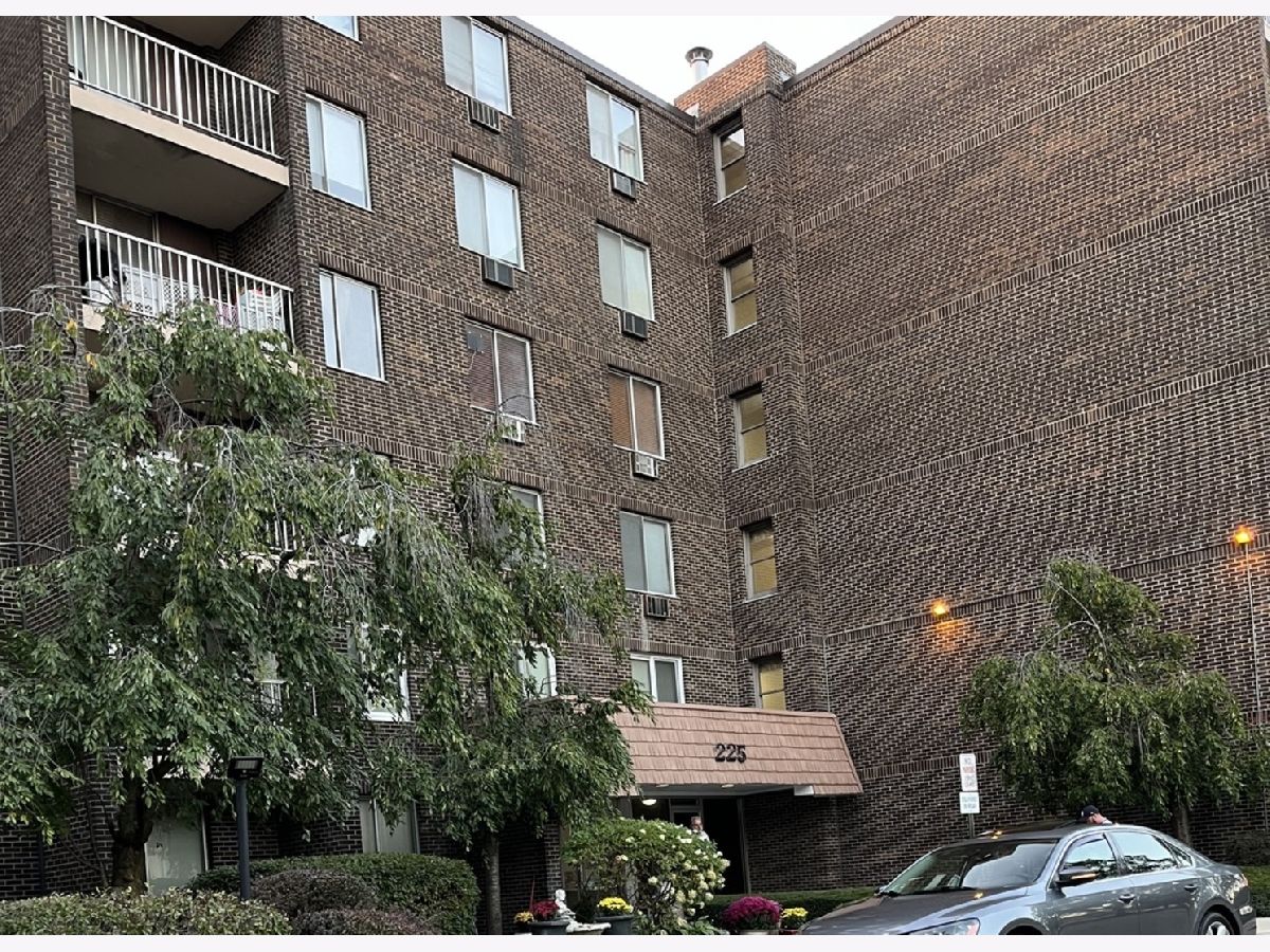  Rented Palatine Illinois, 225 Rohlwing
