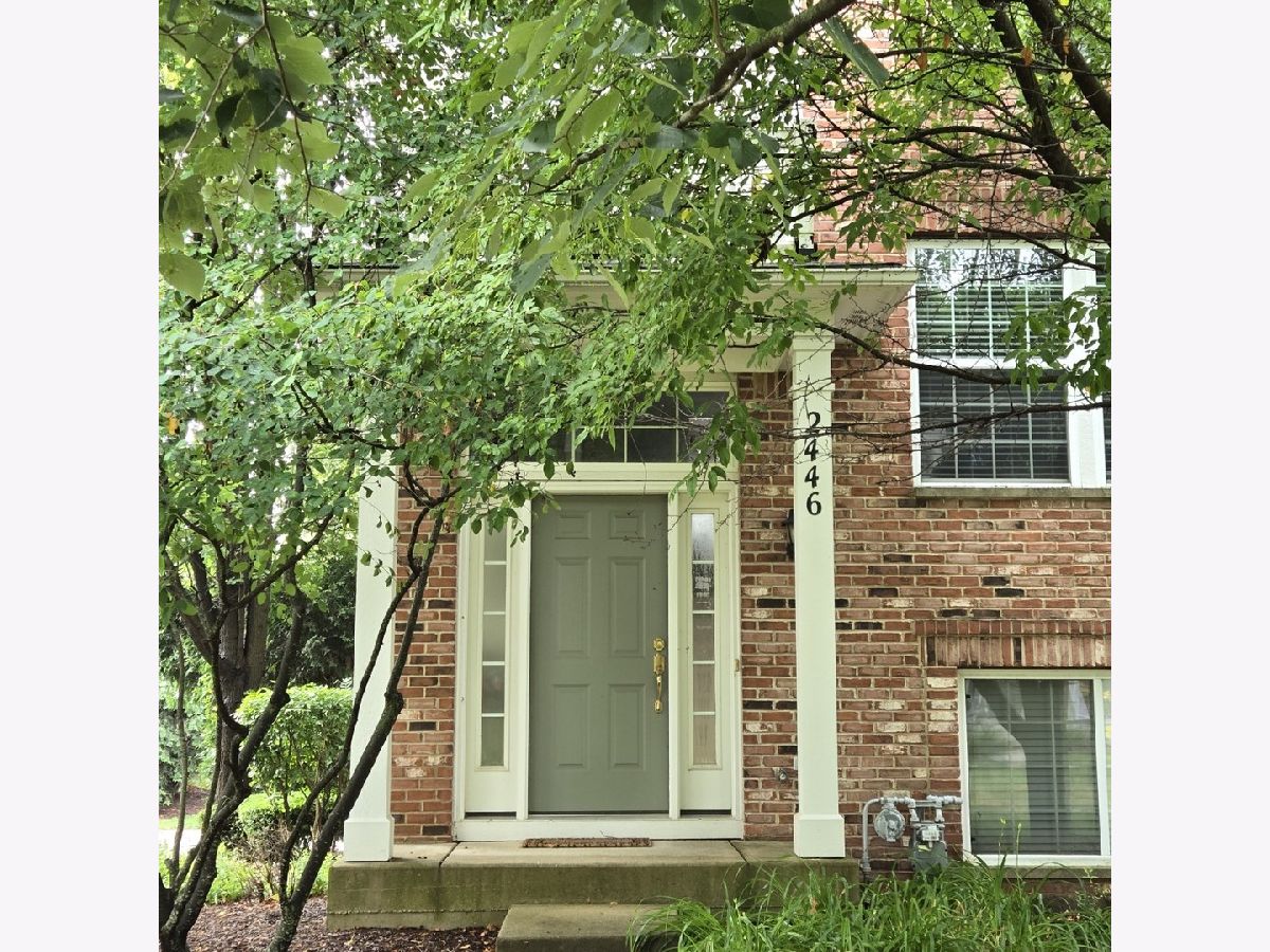  Rented Elgin Illinois, 2446 Emily