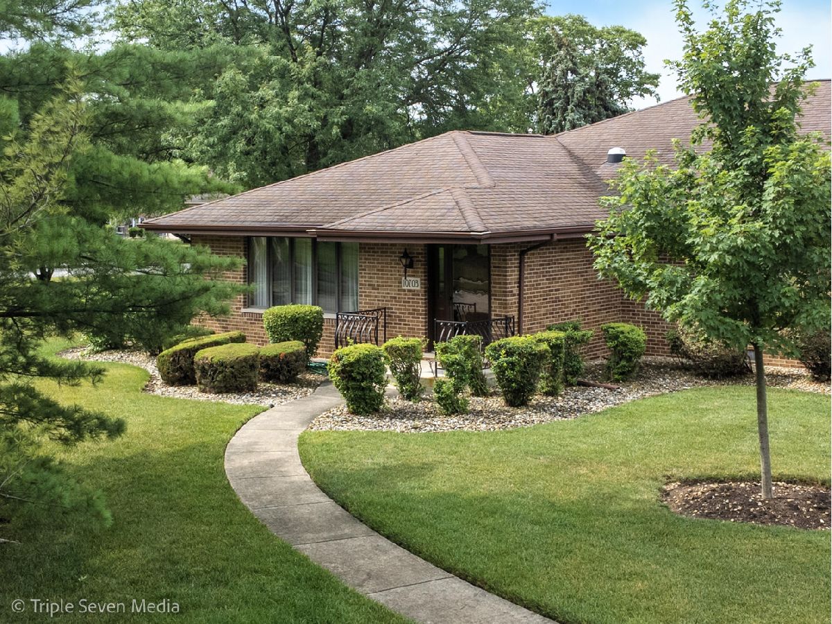 Townhomes & Condos & Homes For Sale Eagle Ridge Orland Park Illinois, 10703 Kentucky Court