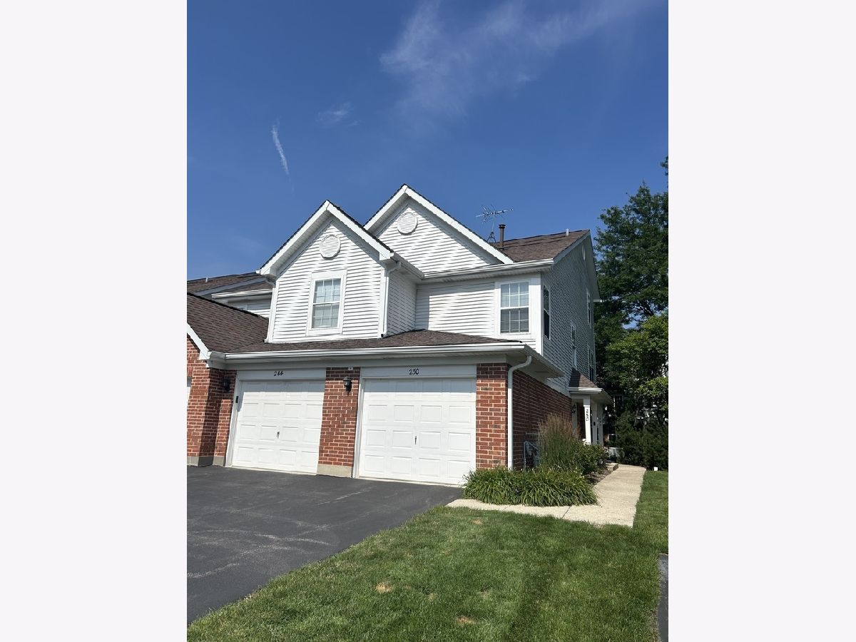 Townhomes & Condos For Sale Turnberry Manor Roselle Illinois, 250 Ashbury Lane