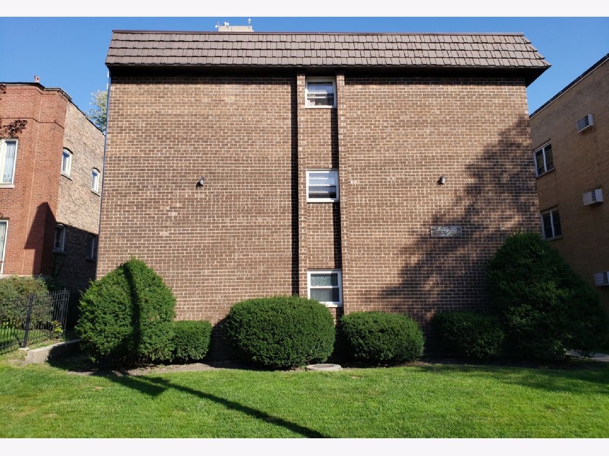  Rented Oak Park Illinois, 244 Marion