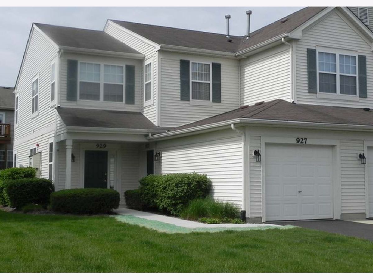 Townhomes & Condos & Homes Rented Enclave At Country Lakes Naperville Illinois, 927 Genesee