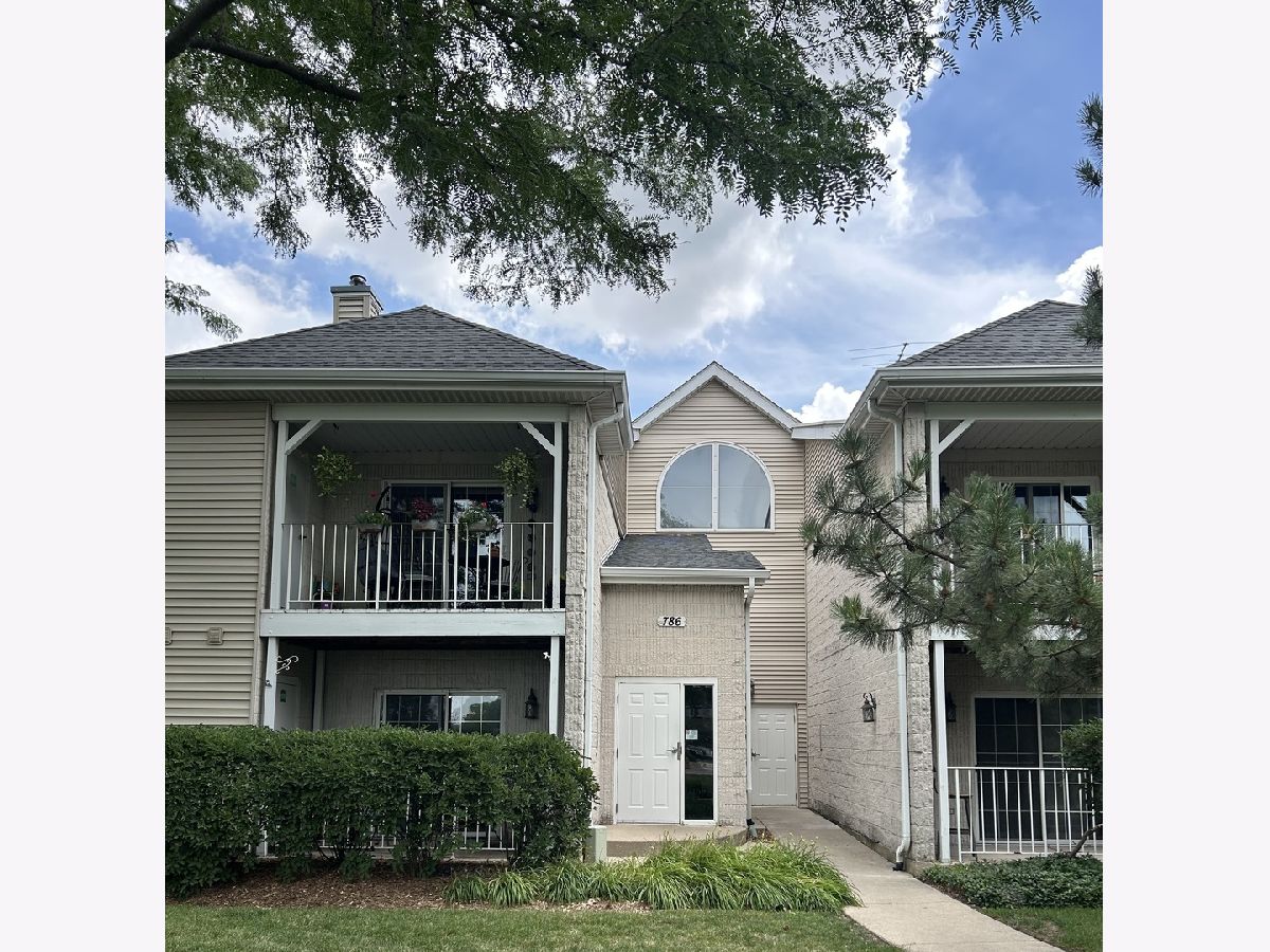  Rented Carol Stream Illinois, 786 Gary