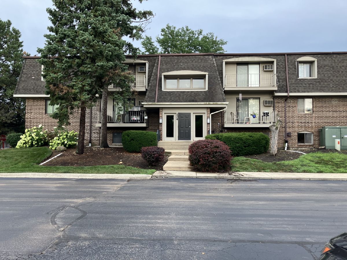 Condominiums Rented Olive Trees Naperville Illinois, 104 Bailey