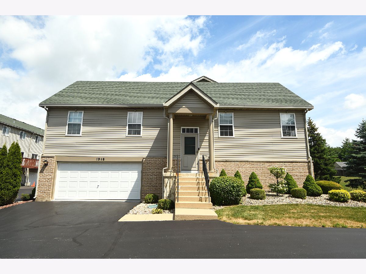 Townhomes & Homes Sold Pine Valley Lockport Illinois, 1918 Austrian Pine