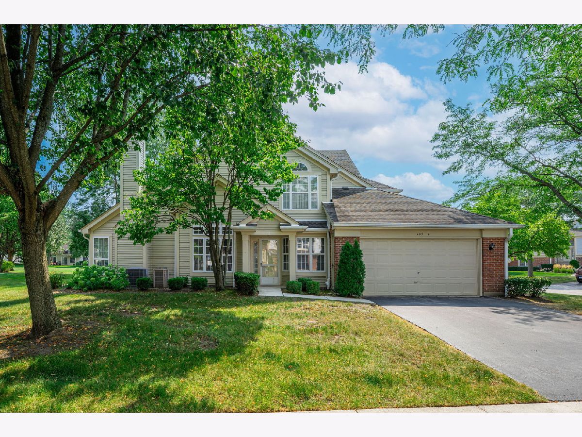 Townhomes & Condos & Homes For Sale Fairfax Commons Bartlett Illinois, 407 Cromwell Circle