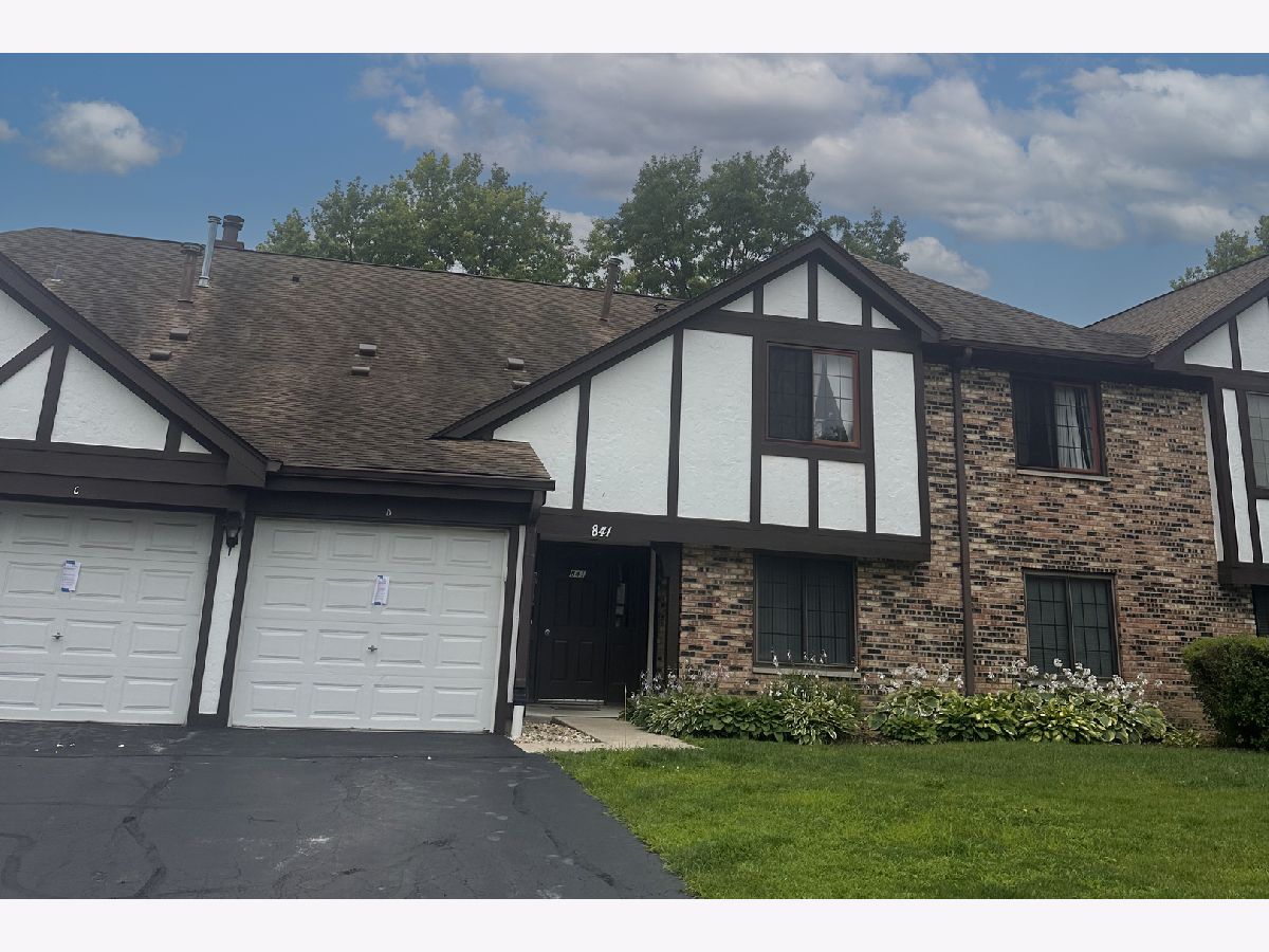 Condos & Townhomes Sold Trails Village Roselle Illinois, 841 Yosemite