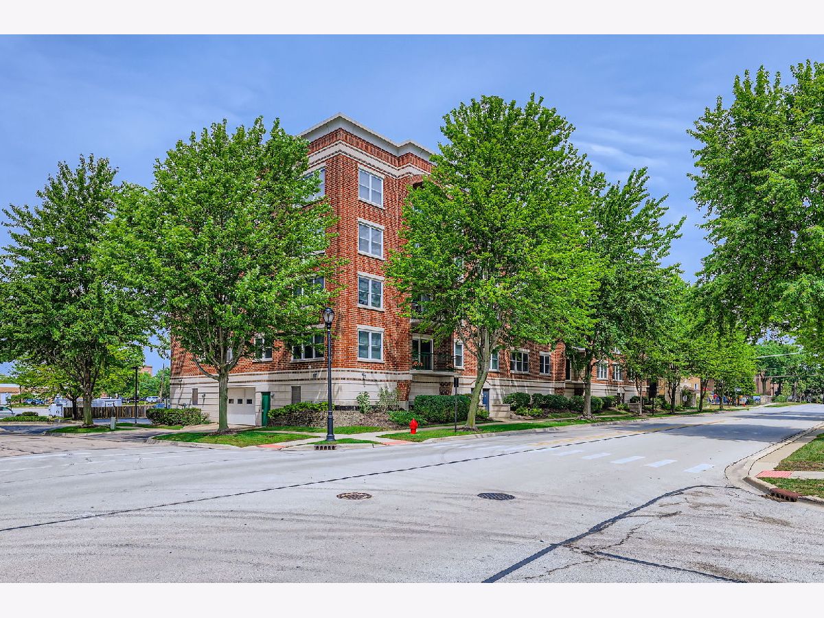 Condominiums Sold Plum Court Palatine Illinois, 104 Plum Grove