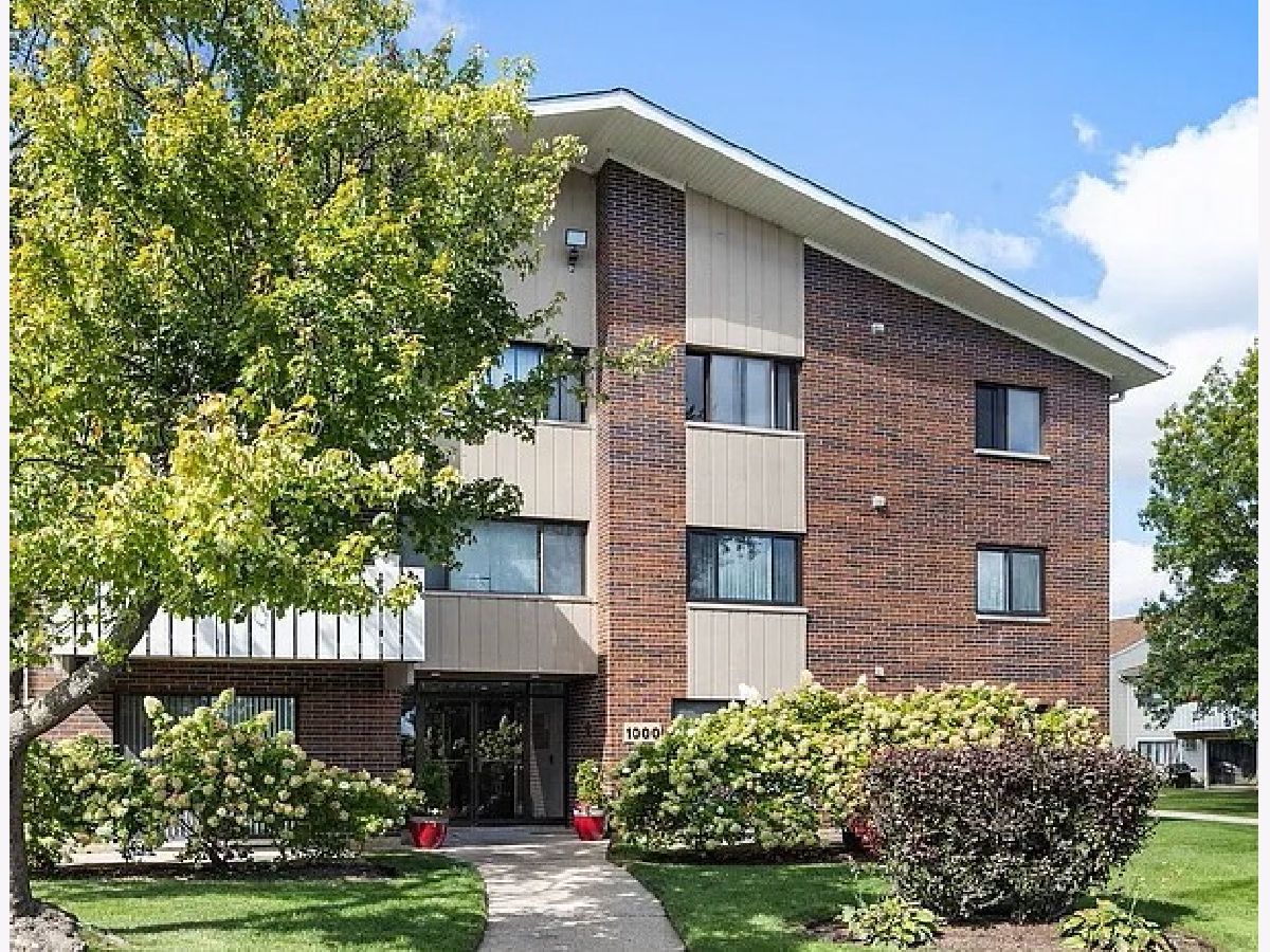 Condos & Townhomes Sold Runaway Bay Palatine Illinois, 1000 Bayside