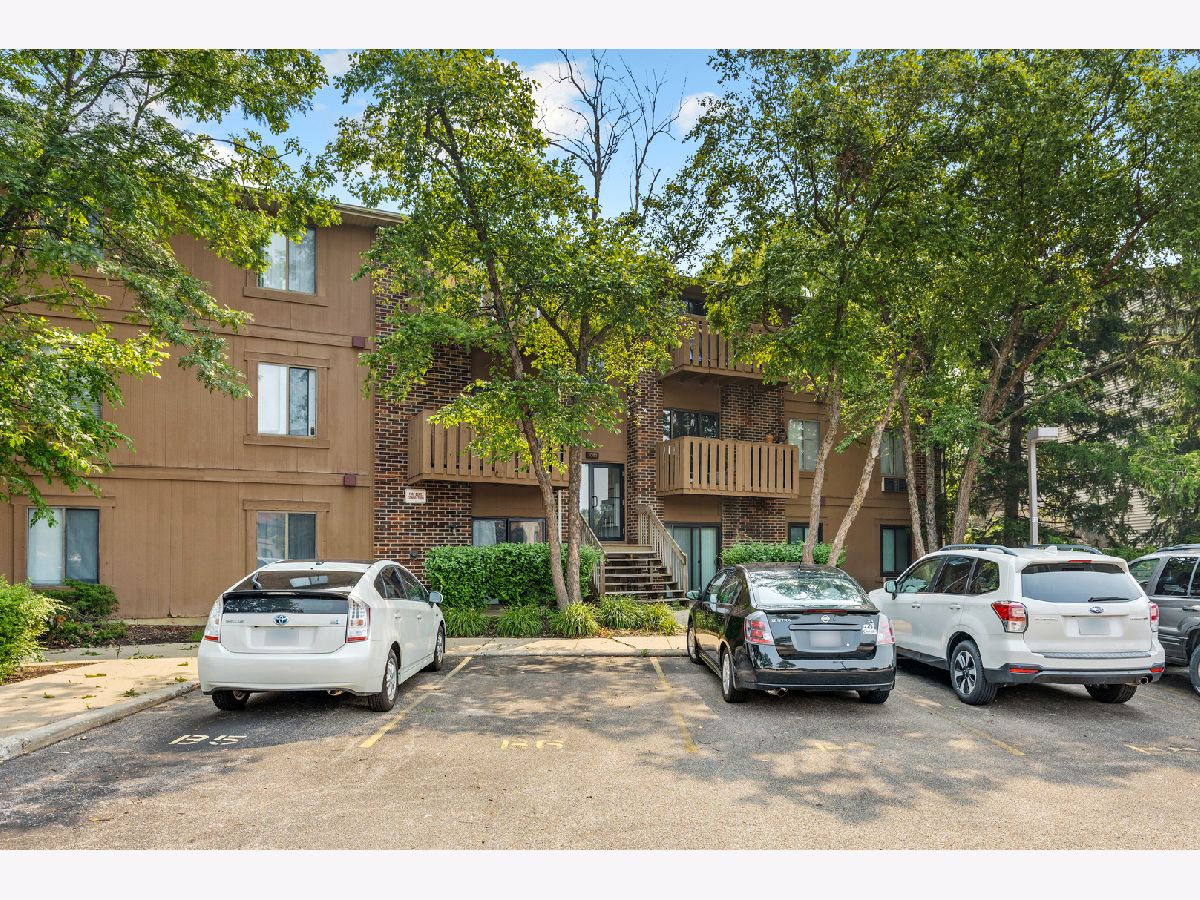  Sold Roselle Illinois, 1081 Rodenburg