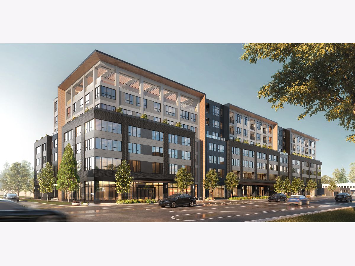  For Rent Oak Park Illinois, 703 Madison