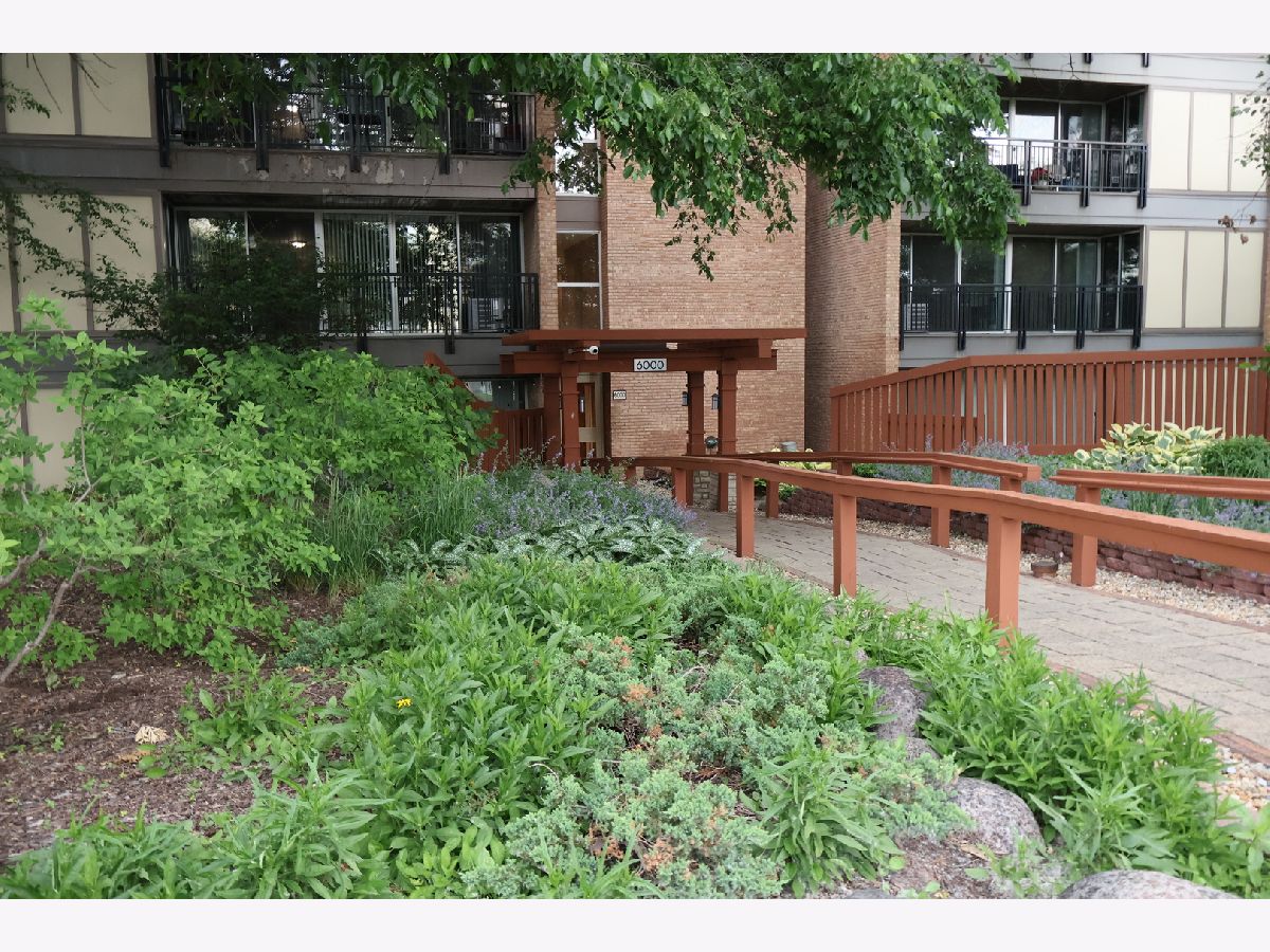  Rented Lisle Illinois, 6000 Oakwood