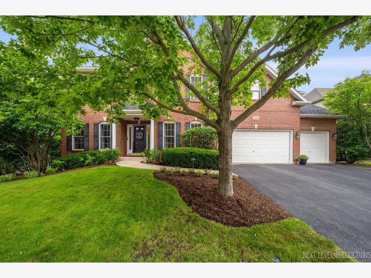  Sold South Elgin Illinois, 558 Cole