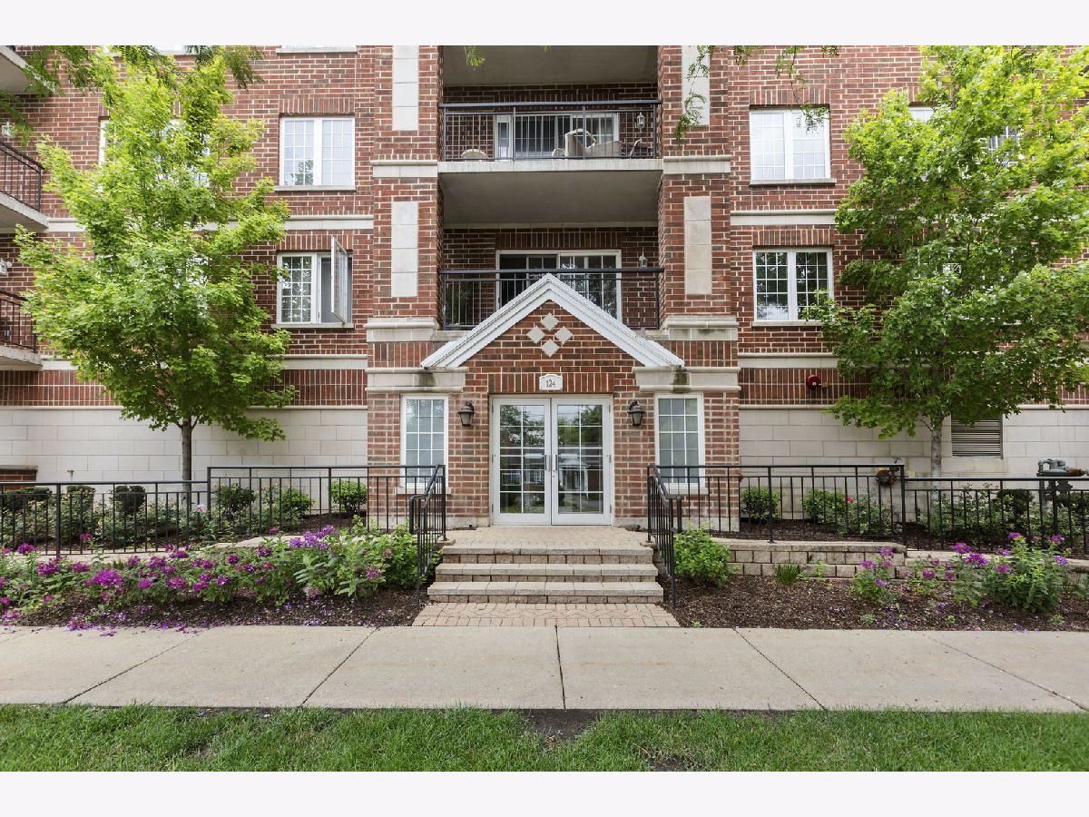 Condominiums For Sale Wellington Court Palatine Illinois, 124 Colfax Street