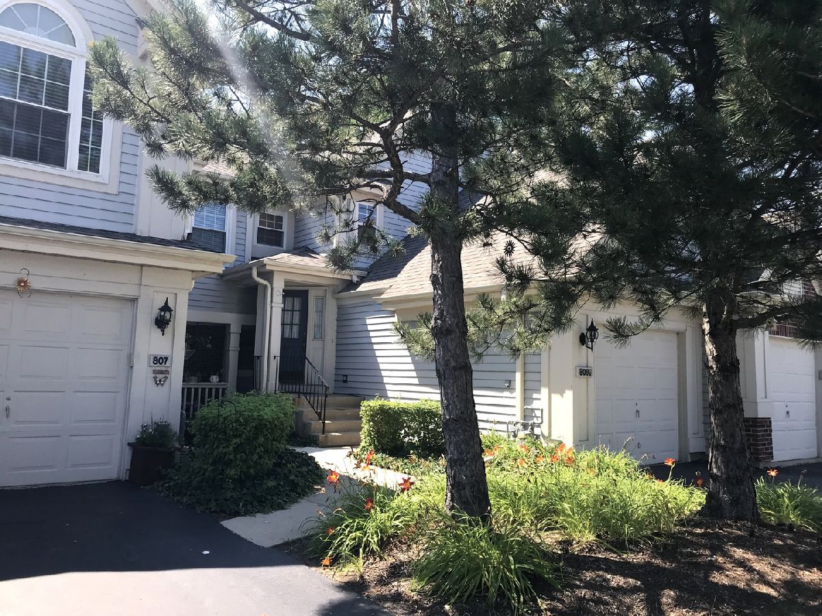  For Rent Elk Grove Village Illinois, 809 Spring Creek