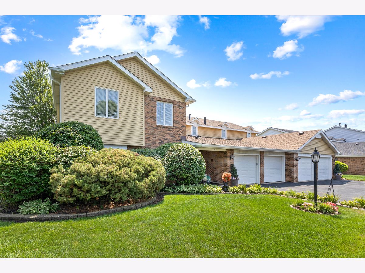 Condominiums Sold Lake Willow Way Willowbrook Illinois, 729 Birchwood