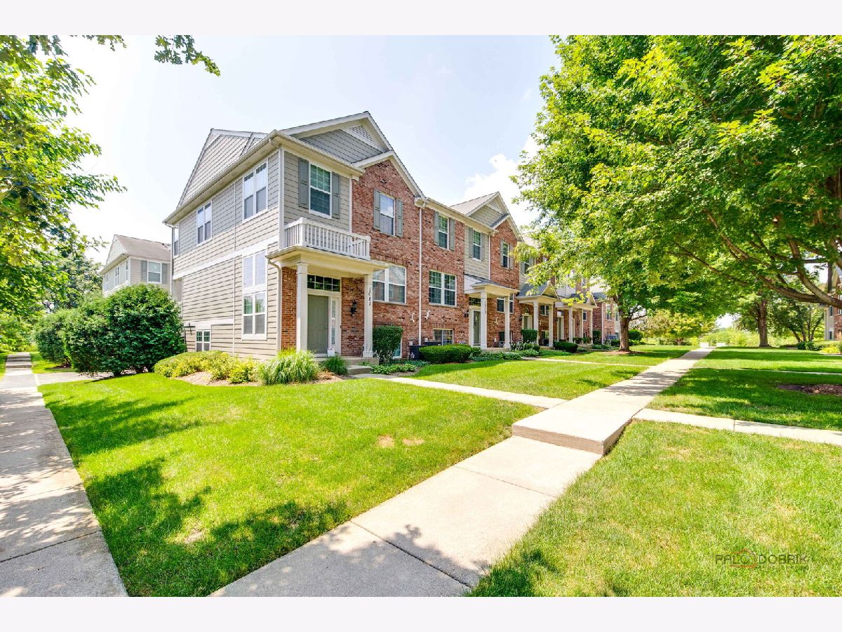 Townhomes For Sale The Reserve Of Elgin Elgin Illinois, 1077 Crane
