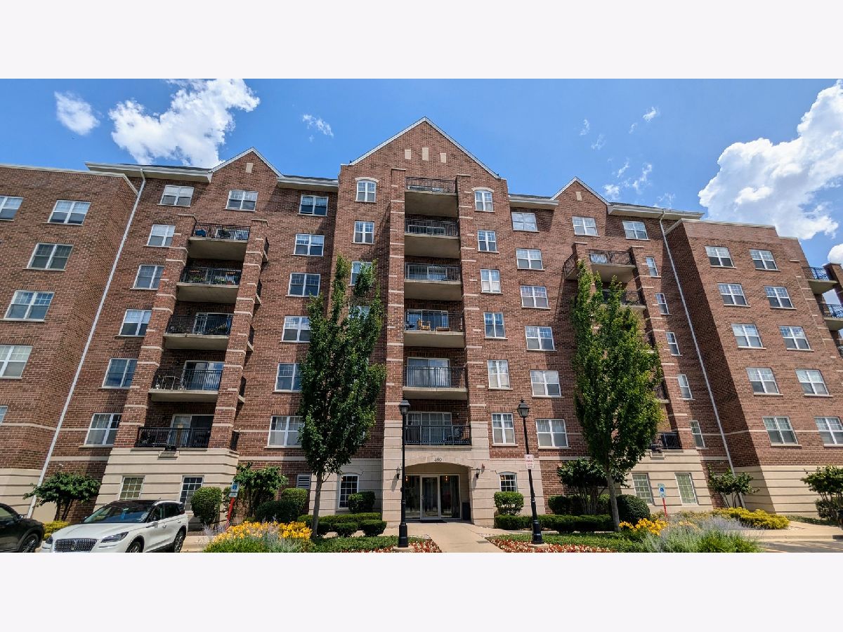  Rented Palatine Illinois, 390 Mahogany