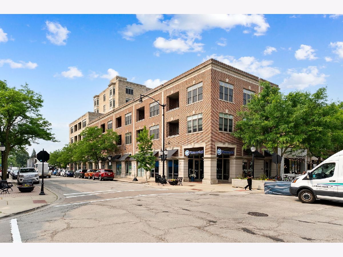  Rented Arlington Heights Illinois, 10 Dunton