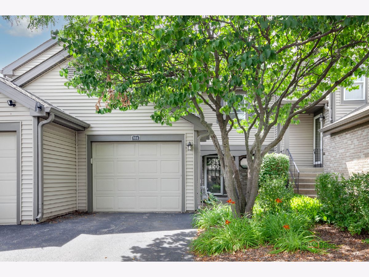 Townhomes & Condos Sold Buttercreek Hoffman Estates Illinois, 994 Butter Creek