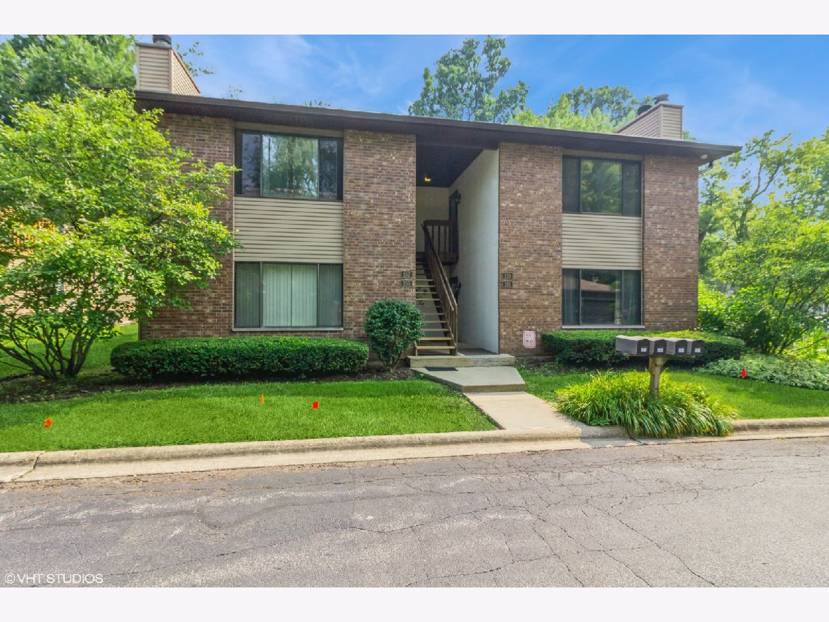  Rented Geneva Illinois, 253 Harrison