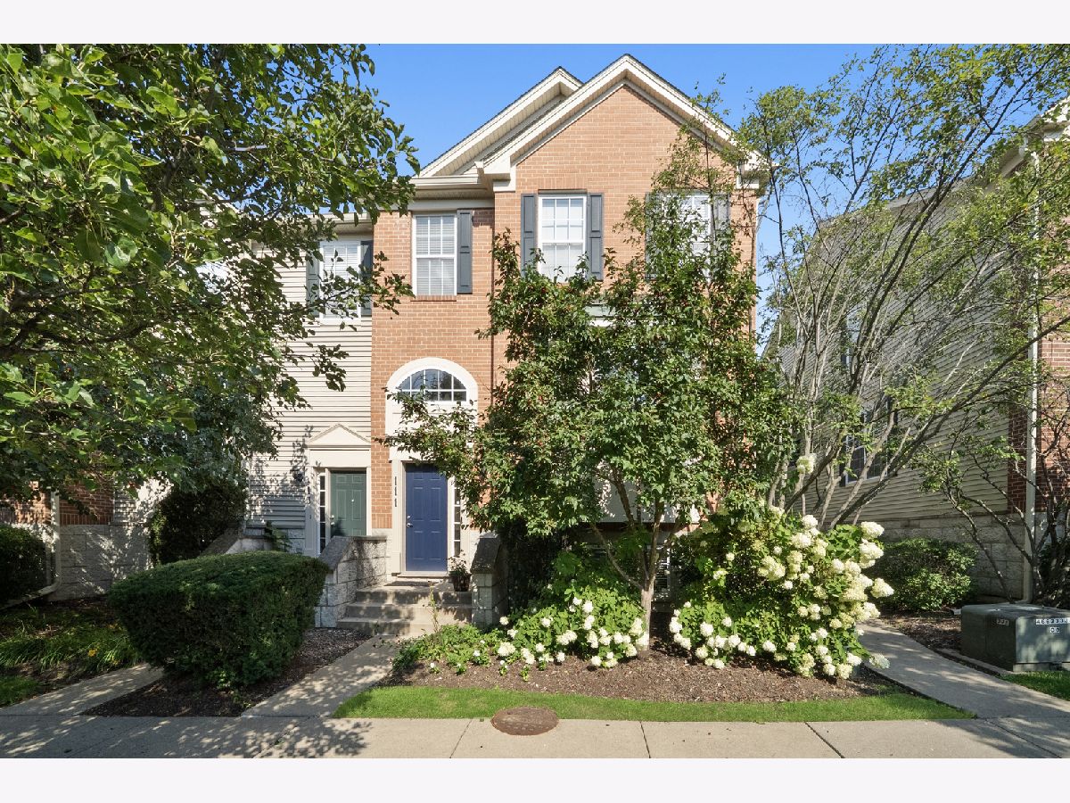  Sold Willow Springs Illinois, 111 Rachel