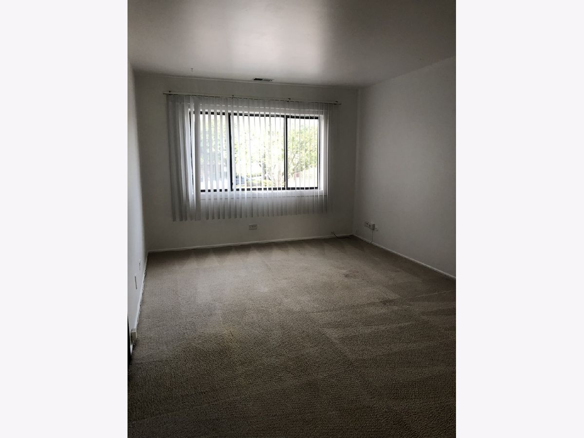  For Rent Palatine Illinois, 319 Rimini