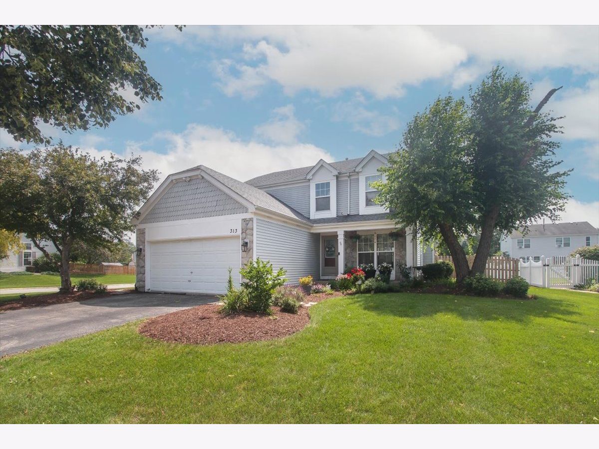Homes For Sale Wildmeadow South Elgin Illinois, 313 Valley Forge Avenue