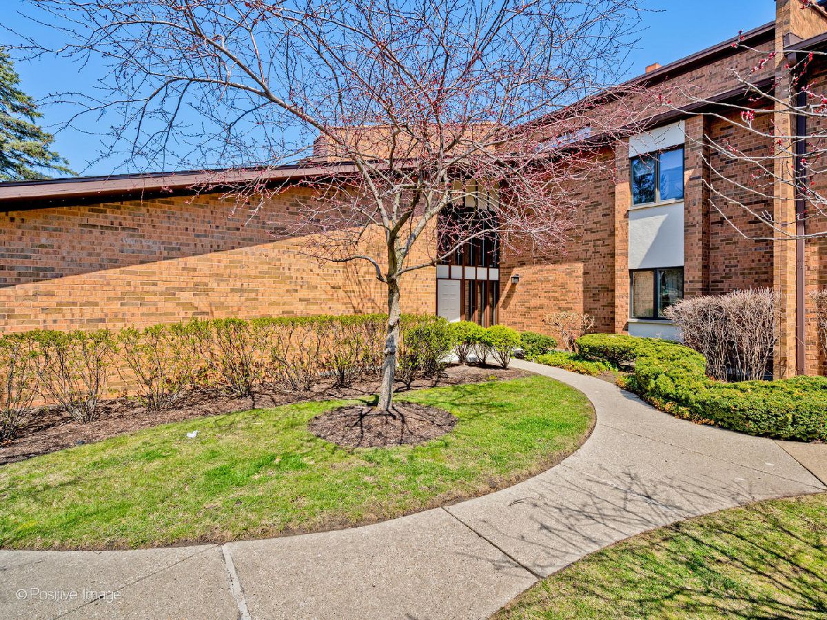 Townhomes & Condos For Sale Manors Highland Park Illinois, 1039 Deerfield Place