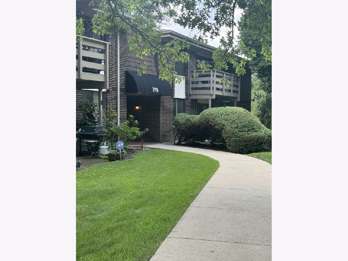 Sold Glen Ellyn Illinois, 310 Greenbriar