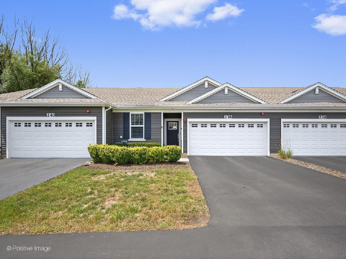 Condos & Townhomes & Homes Sold Lincoln Valley North Aurora Illinois, 238 Sussex