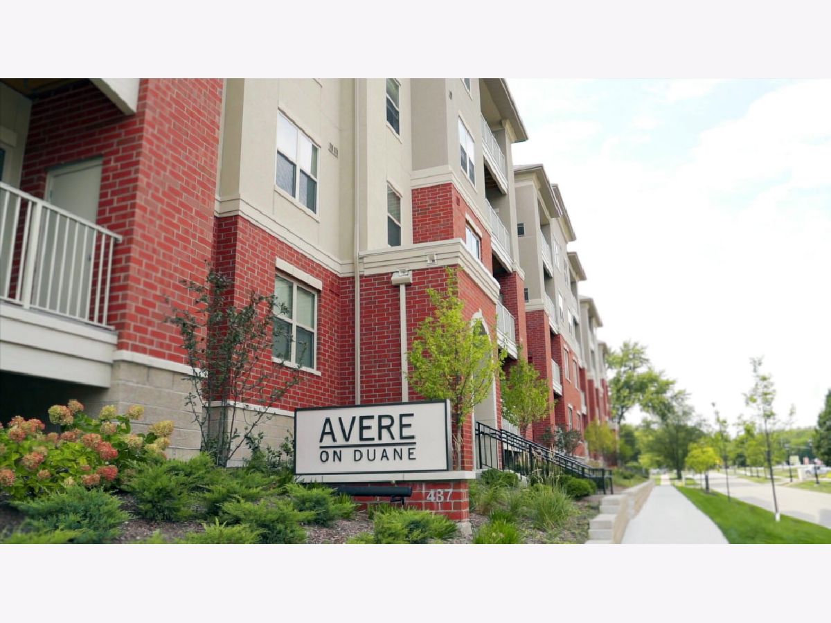  For Rent Glen Ellyn Illinois, 437 Duane