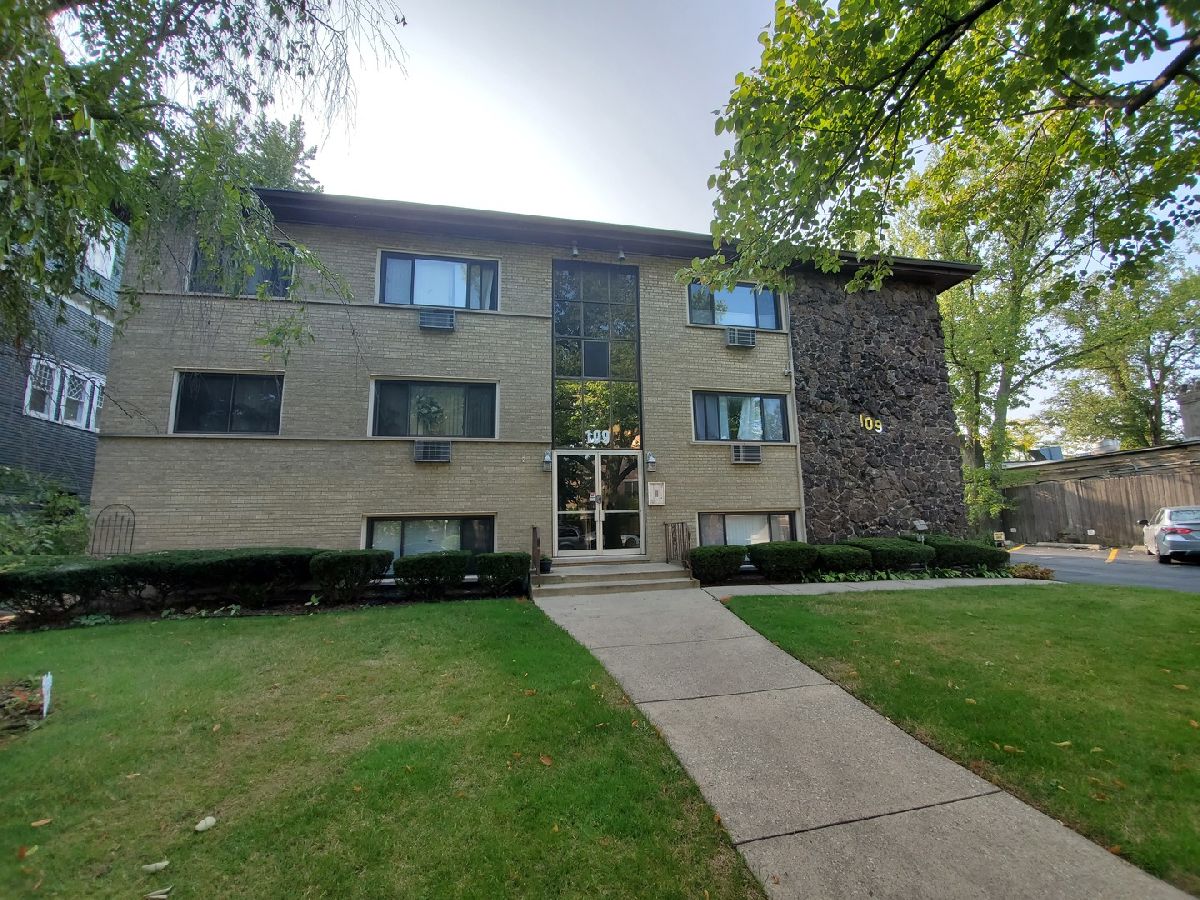  Rented Oak Park Illinois, 109 Elmwood