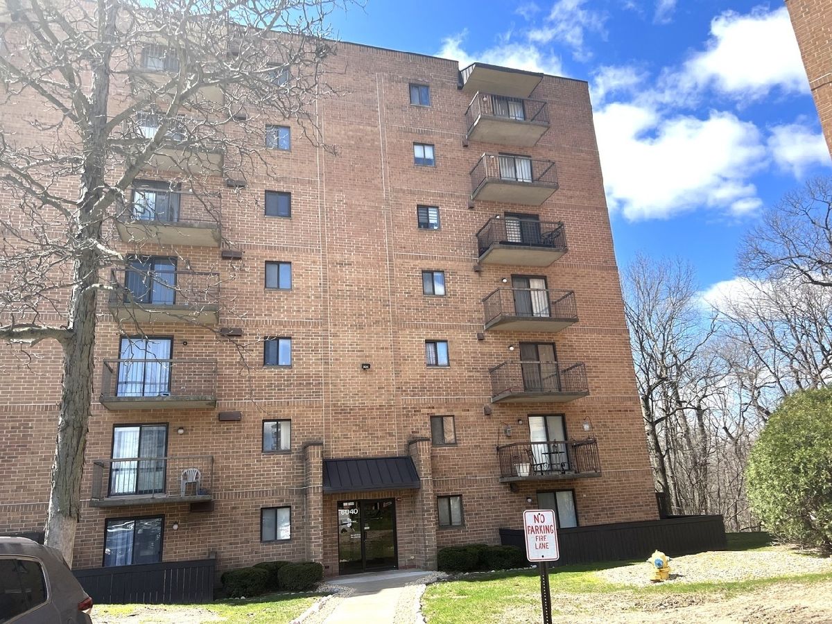  Rented Tinley Park Illinois, 6040 Lake Bluff