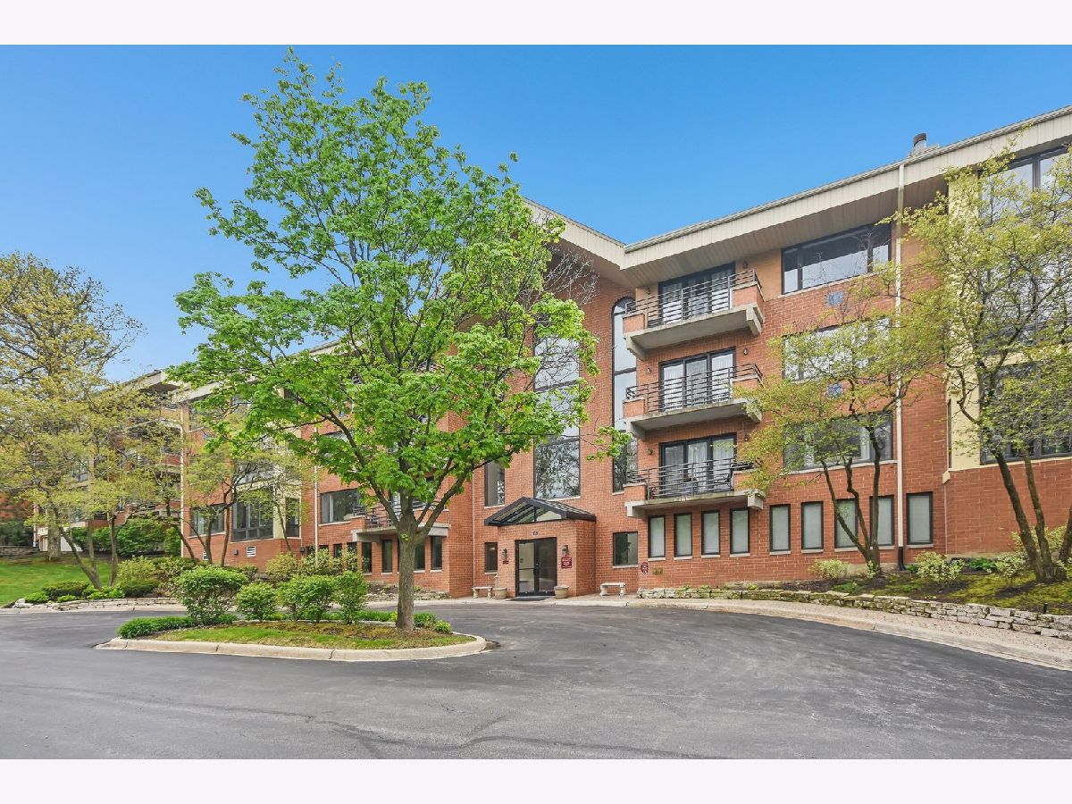 Condominiums For Sale Royal Hills Club Oak Brook Illinois, 3525 Cass Court