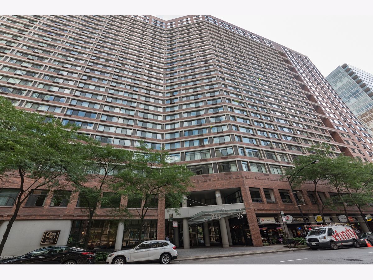 Condominiums For Rent Grand Ohio Chicago Illinois, 211 Ohio
