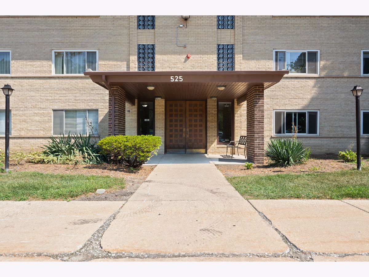  Rented Arlington Heights Illinois, 525 Cleveland