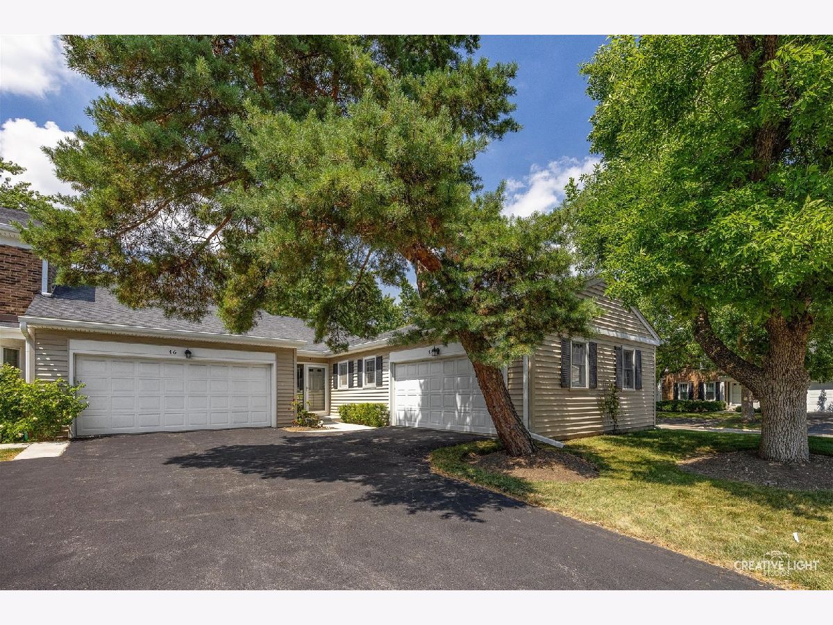 Townhomes & Condos & Homes For Sale Ancient Tree Northbrook Illinois, 47 The Court Of Greenway