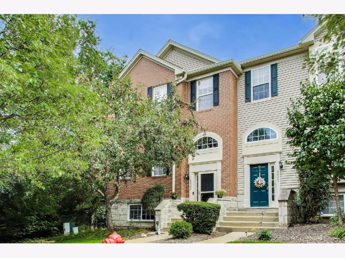 Townhomes For Sale Renaissance Station Willow Springs Illinois, 133 Rachel Avenue