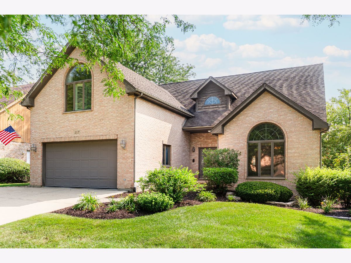 Sold Bloomingdale Illinois, 217 Hillandale