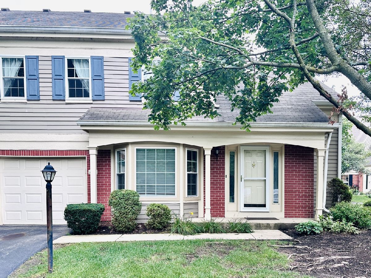 For Rent Palatine Illinois, 223 New Bridge