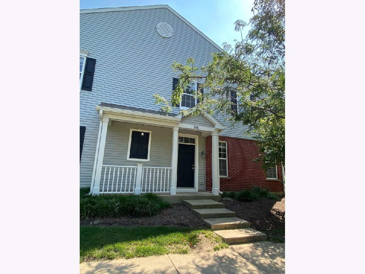  Rented Oswego Illinois, 201 Springbrook