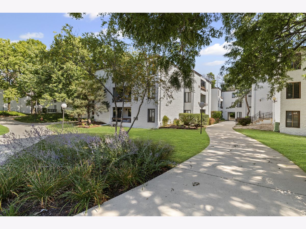 Condominiums For Sale Courtyard Arlington Heights Illinois, 330 Miner Street